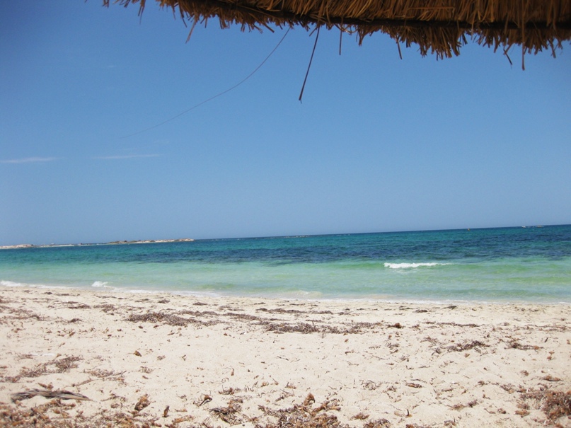 Эдуард Фёдоров | Санкт-Петербург