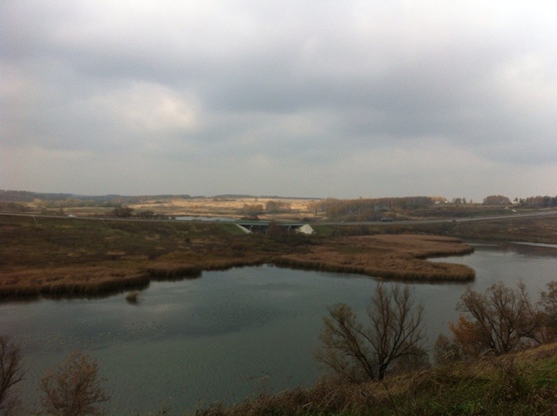 Евгений Шульц | Киев