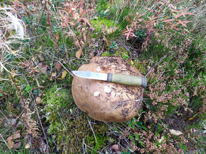 Сергей Майоров serno5 | Санкт-Петербург