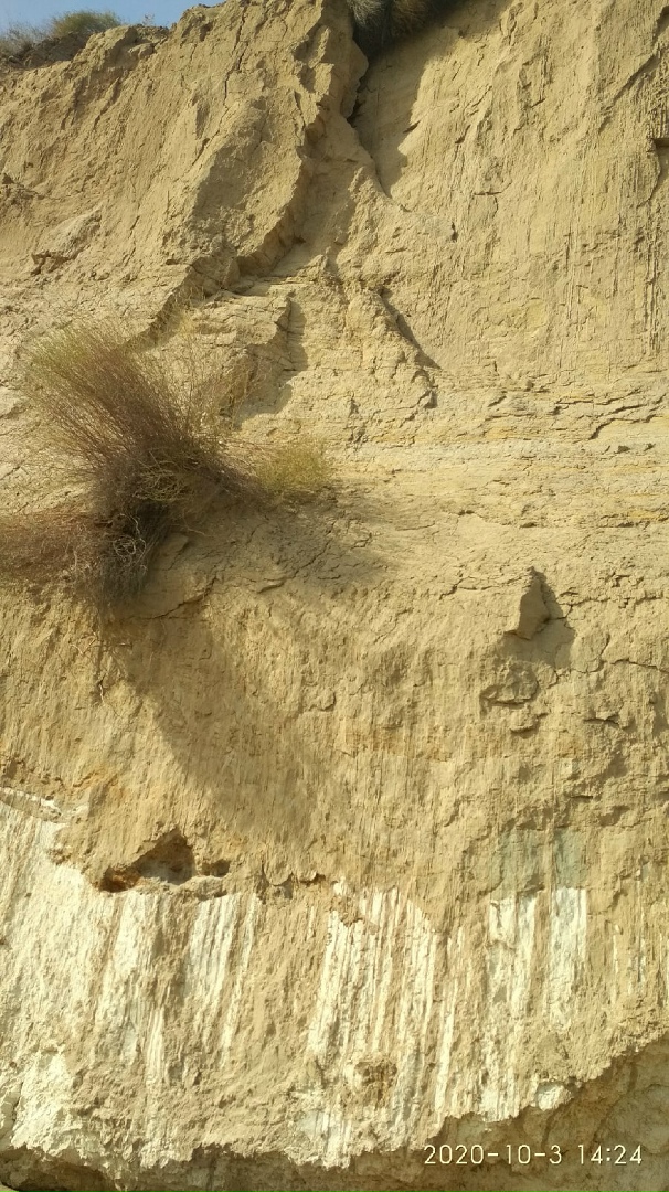 Антон Чирков | Волгоград