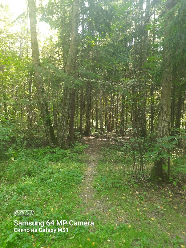 Владислав Грачёв | Москва