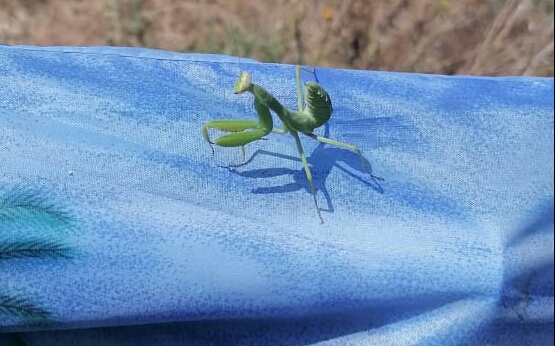 Татьяна Булдакова | Санкт-Петербург