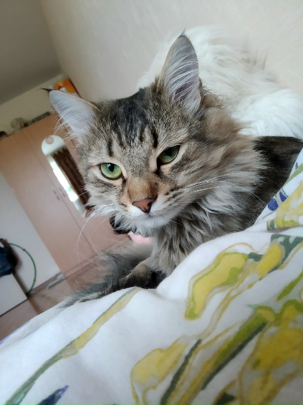 Илья Авдеев _ROOTWEN_ | Челябинск