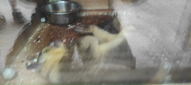 Евгений Будник | Санкт-Петербург