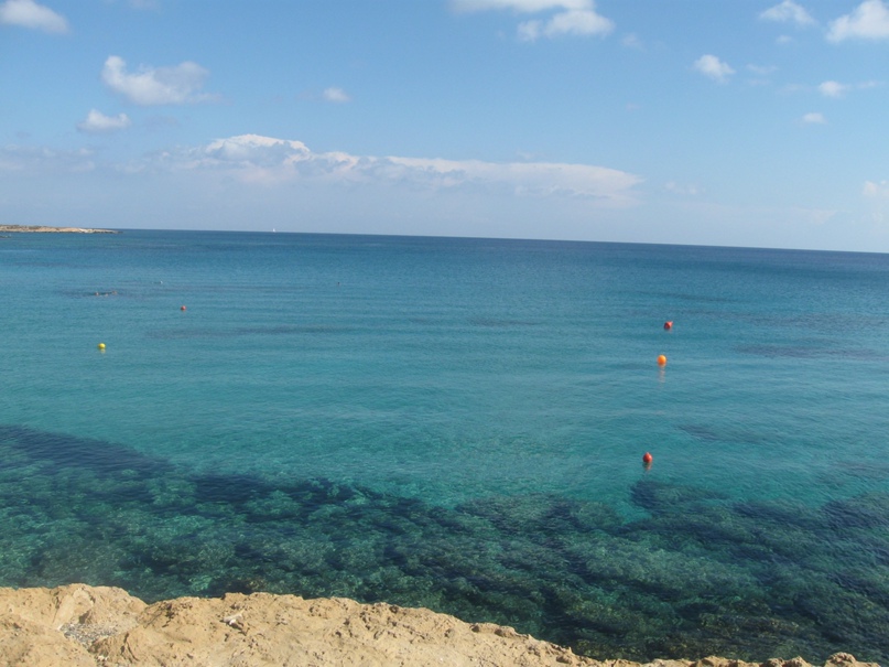 Виктория Барташевич | Минск