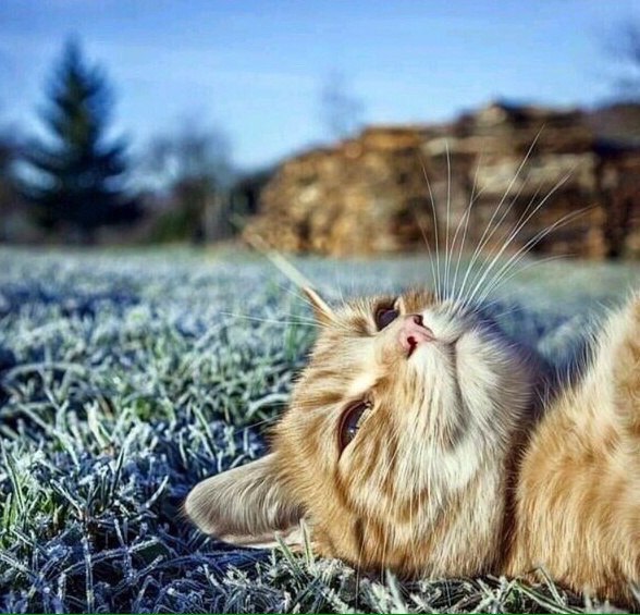 Илья Елизаров | Красноярск