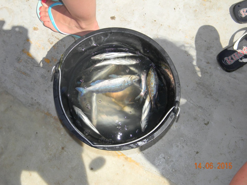 Наталья Стоянова | Санкт-Петербург