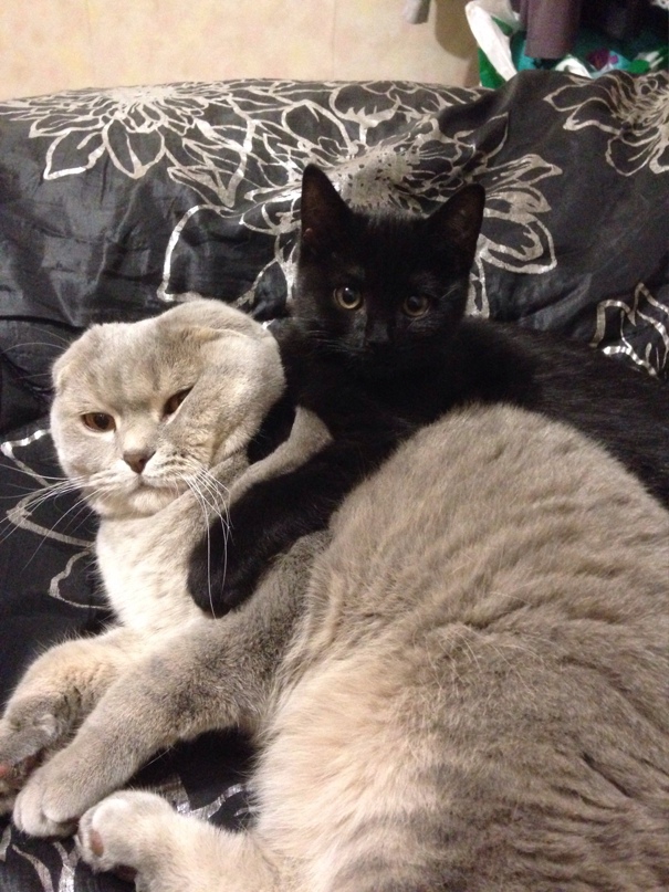 Ирина Цой | Краснодар