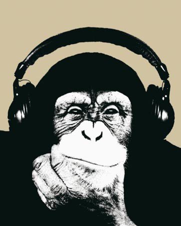 Андрей Огарков zoOm | Рязань