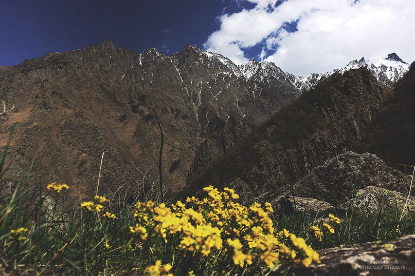 Николай Жаров | Москва