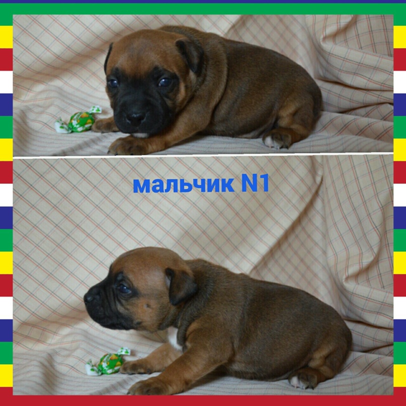 Ольга Терещенко | Сосновый Бор