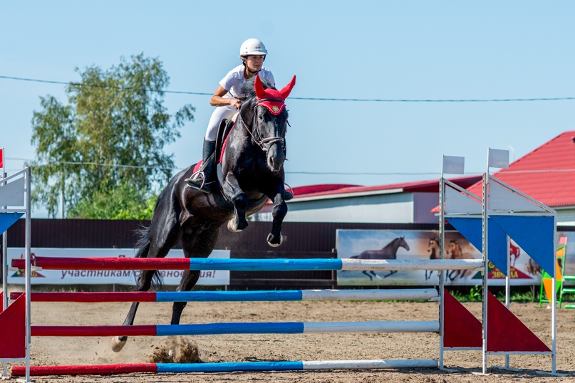 Андрей Мартынов | Мичуринск
