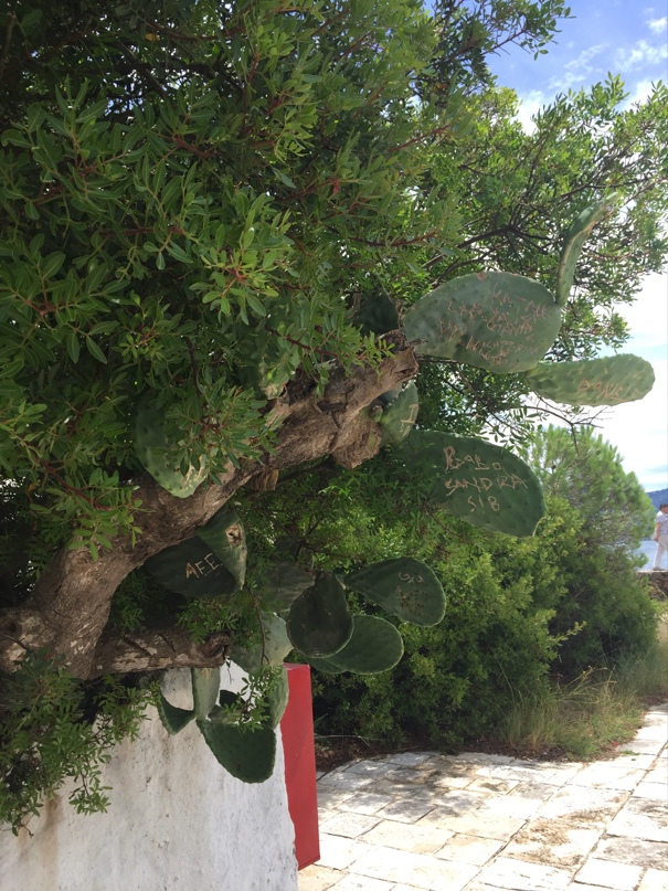 Наталия Силаева | Одинцово