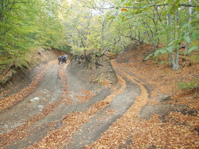 Дмитрий Косенков | Киев