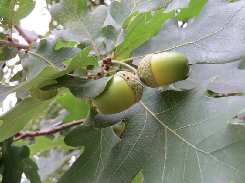 Алиса Фейгина | Москва