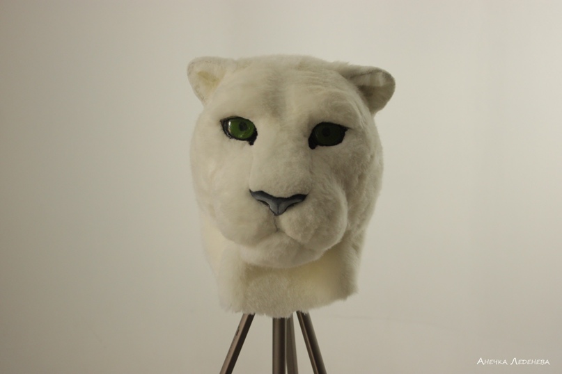 Анна Леденева | Самара