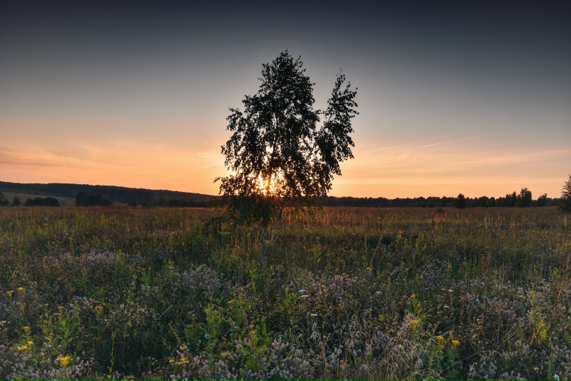 Михаил Павленко | Москва