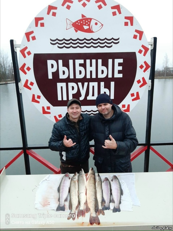 Денис Кольцов | Санкт-Петербург