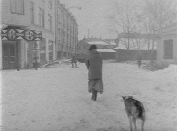 Елена Луговая | Санкт-Петербург