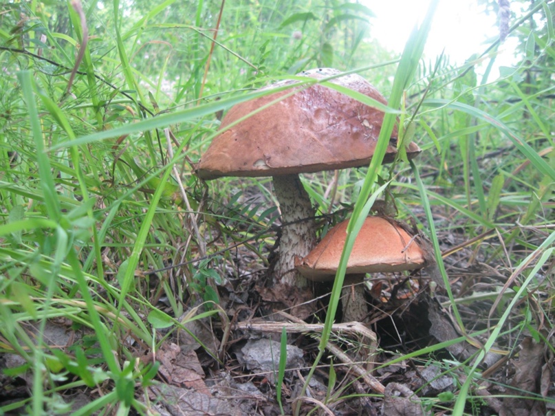 Галина Логвинова | Екатеринбург