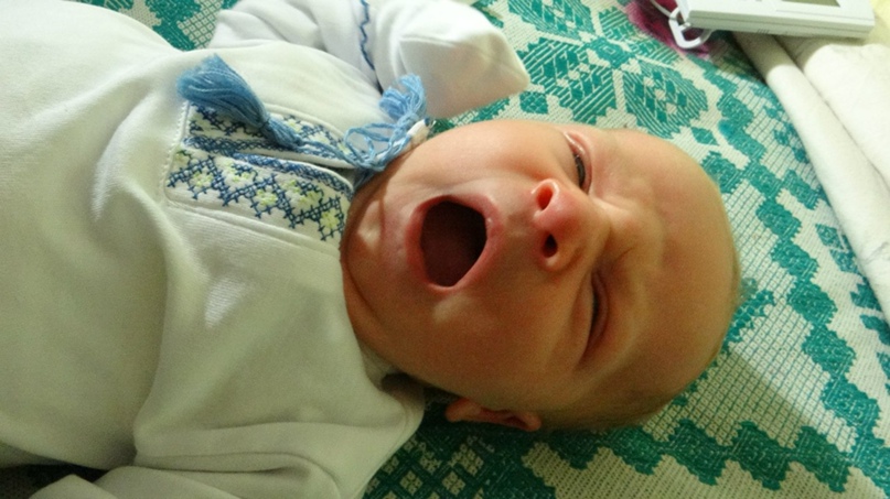 Никита Горшков <Мышэтош> | Киев