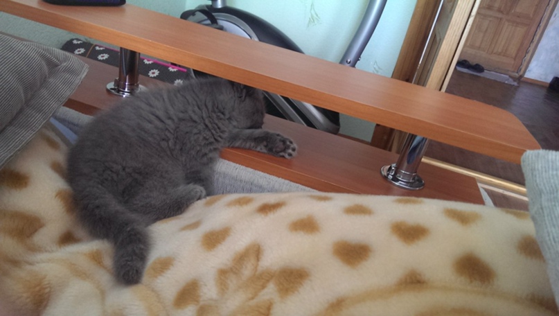 Виктор Овчаренко | Мегион