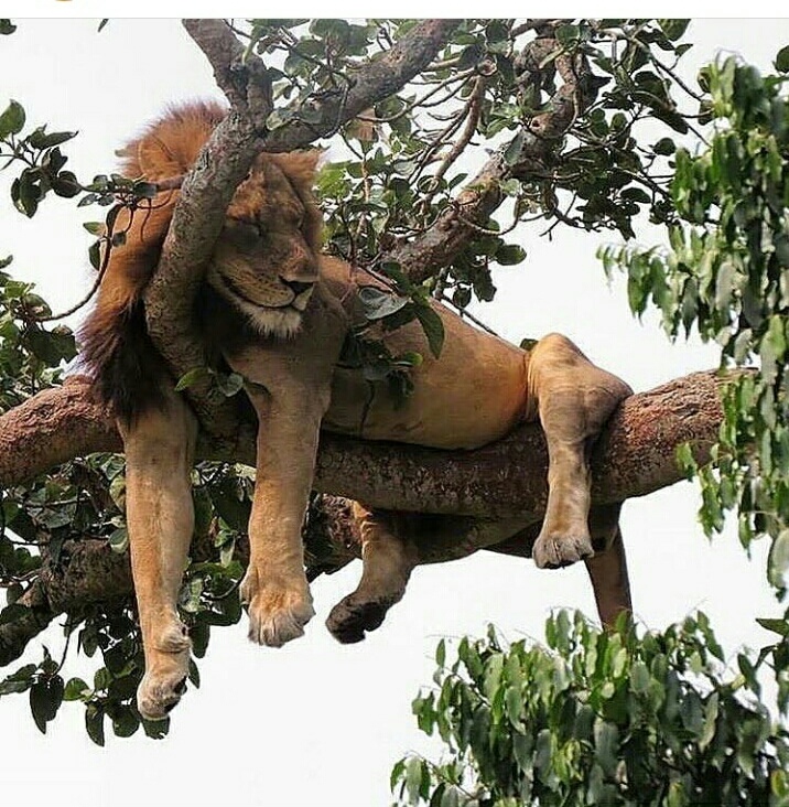 Максим Суслов | Санкт-Петербург