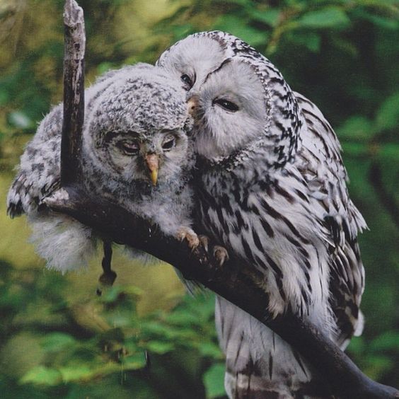 Сергей Вольнов | Новокузнецк