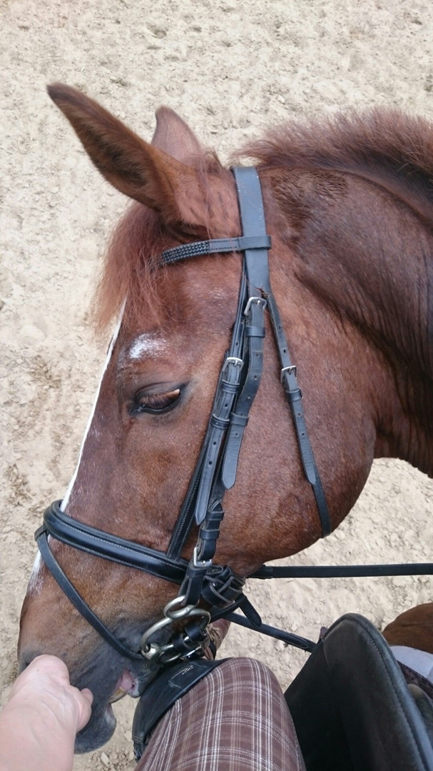 Алина Соколова | Санкт-Петербург