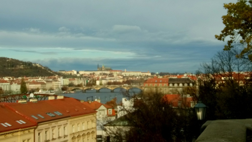 Елена Дронова | Санкт-Петербург