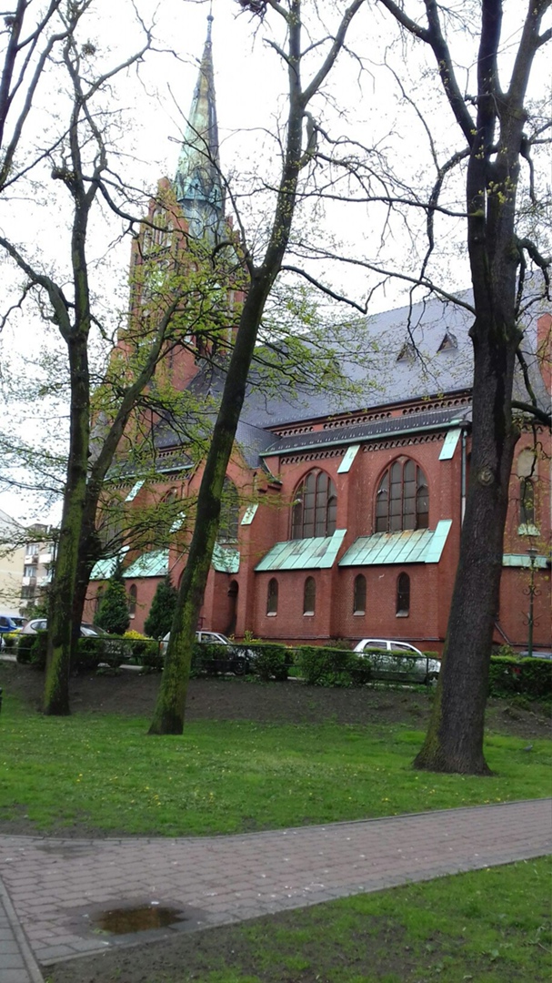 Алёна Шутько | Чернигов