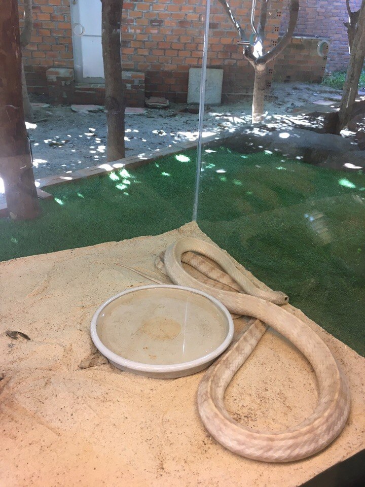 Олег Мархеев | Улан-Удэ