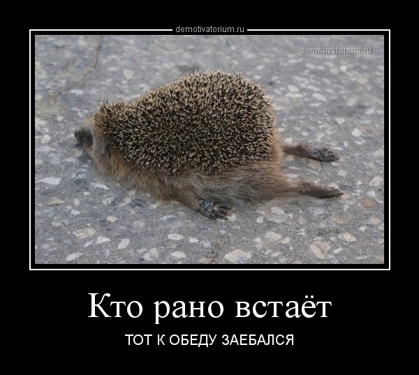 Артем Родионов Юрьевич | Воронеж