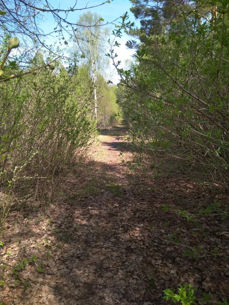 Константин Цыбин | Екатеринбург