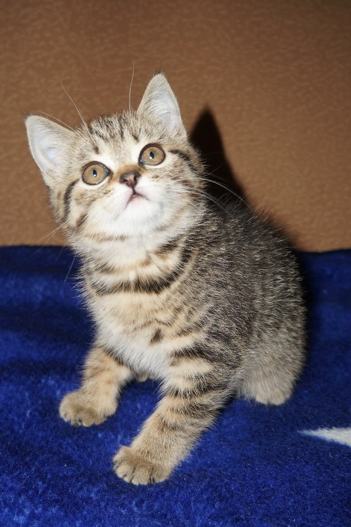 Михаил Кудряков Kaktys | Рыбинск (деревня)