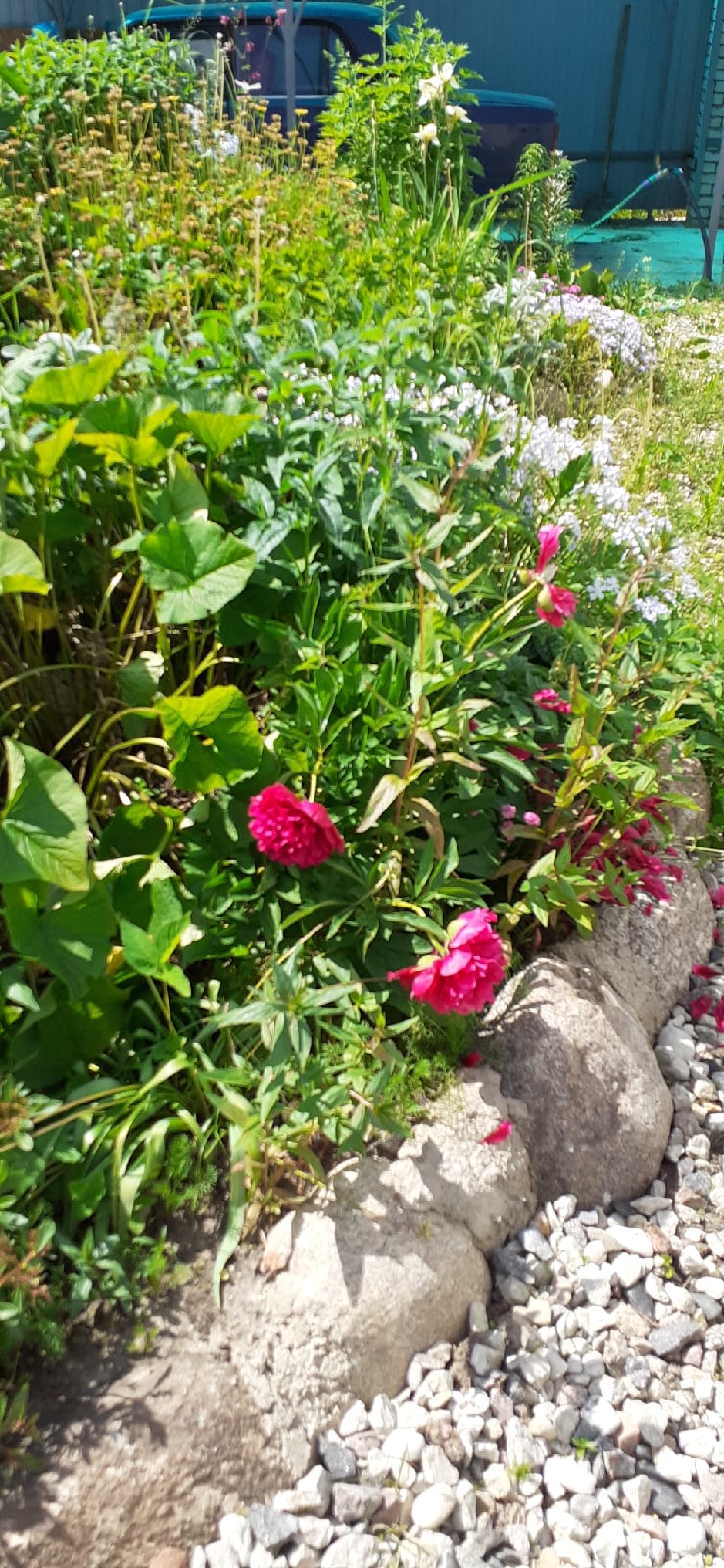 Юлия Мозолева | Мурманск