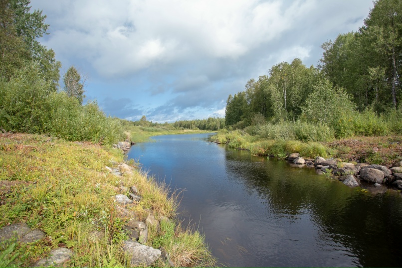 Роман Никифоров ROM-NIK | Рассказово