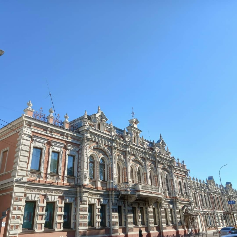 Елена Ганина Кошка | Керчь