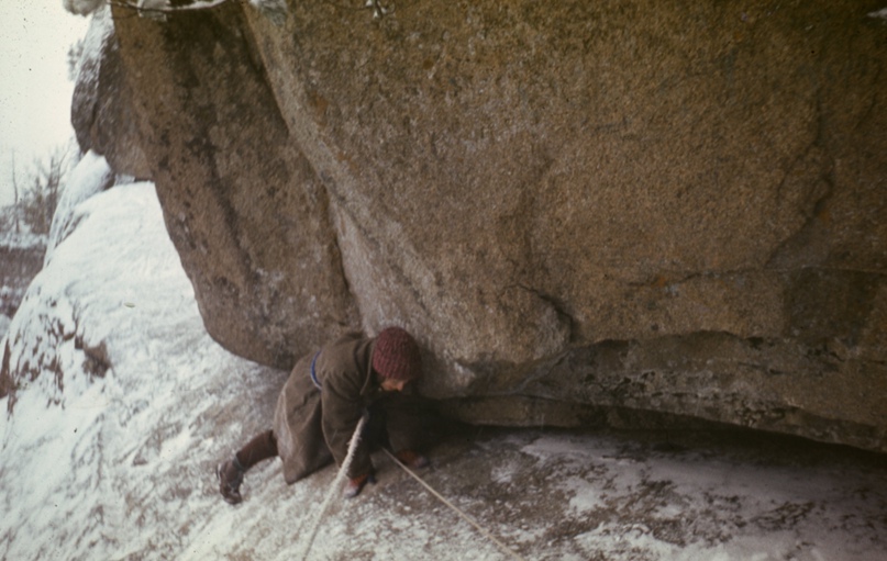 Татьяна Степина | Новосибирск