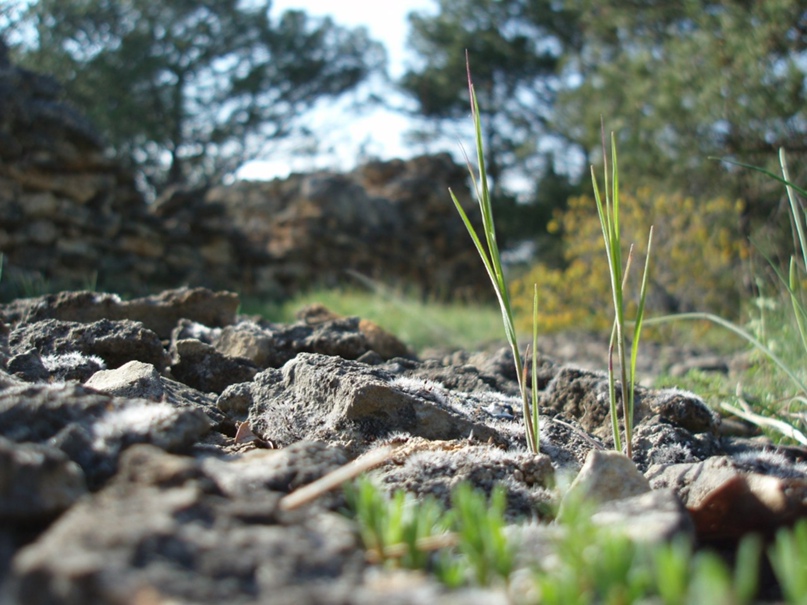 Алексей Петров PaRaDoX | Севастополь