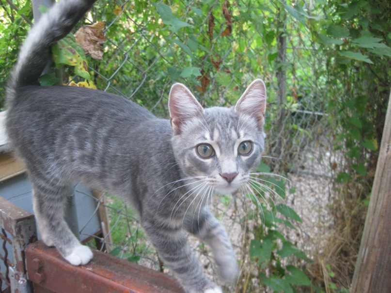 Татьяна Федоренко |