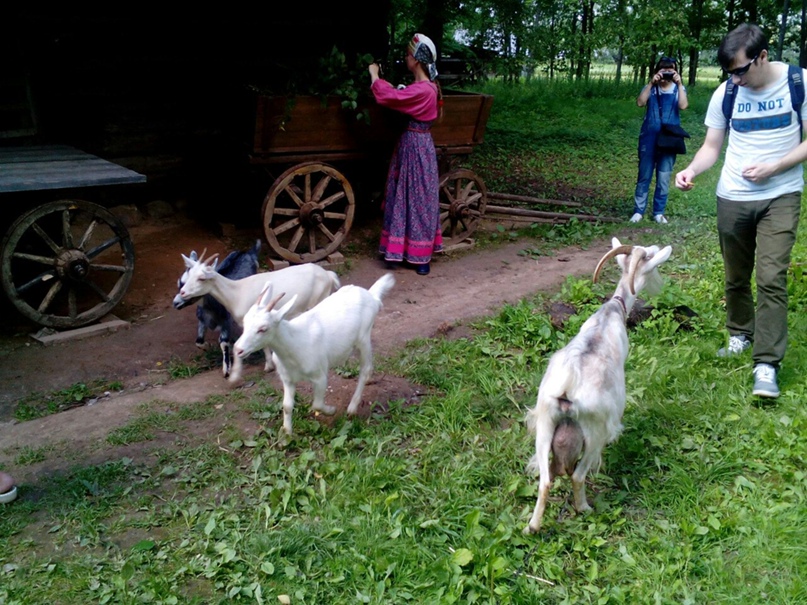 Игорь Лебедев | Великий Новгород