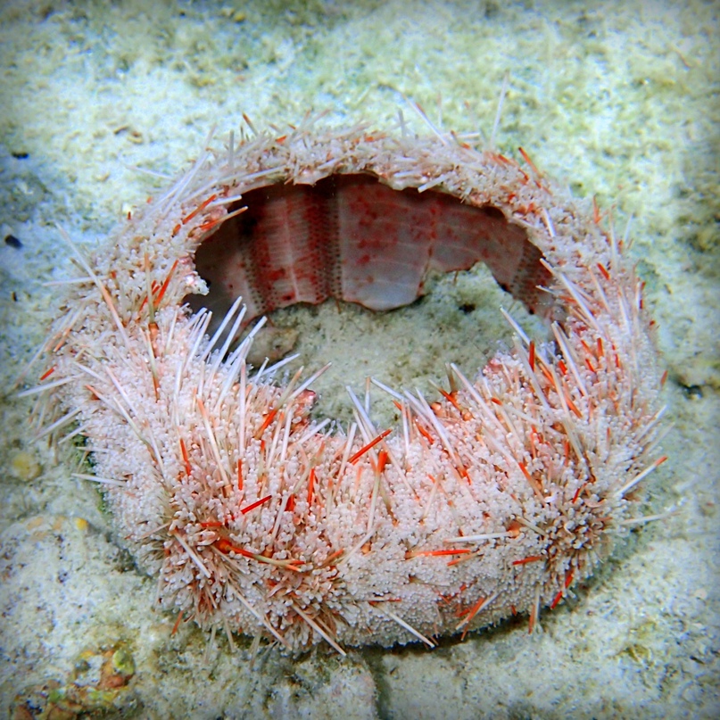 Андрей Савин | Москва
