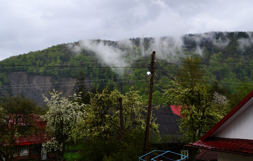 Мария Федорук | Киев