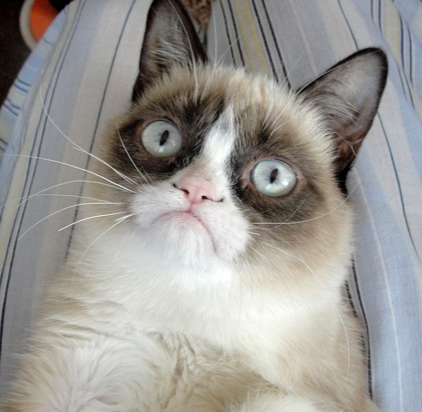 Дмитрий Огородников | Киев