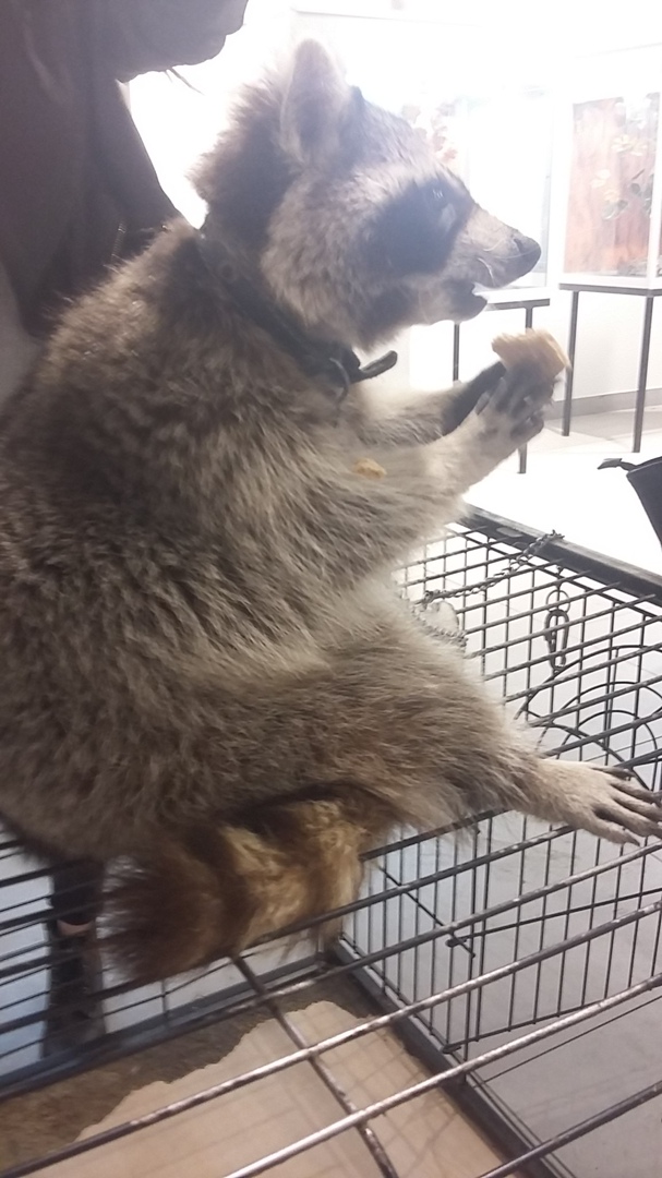 Анастасия Свиридова | Тверь