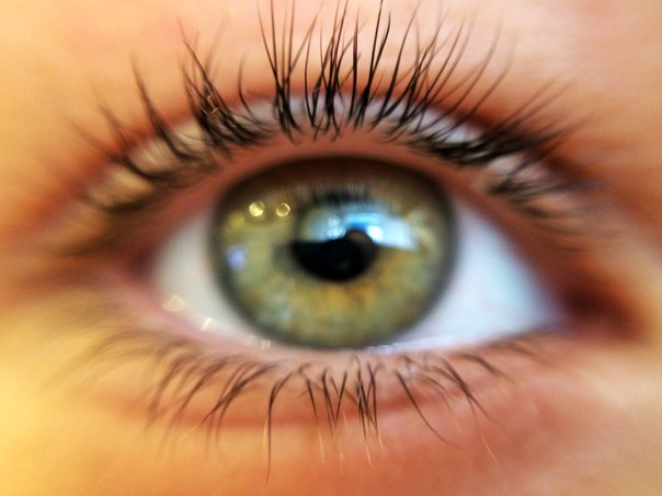 Ирина Старцева | Красноярск