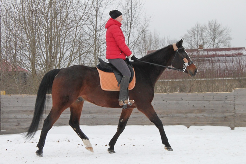 Ирина Дрянина Вячеславовна | Великий Новгород