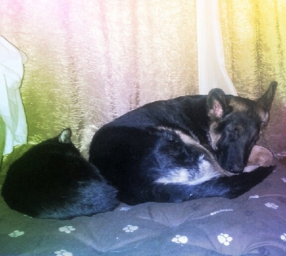 Михаил Журавлёв | Санкт-Петербург