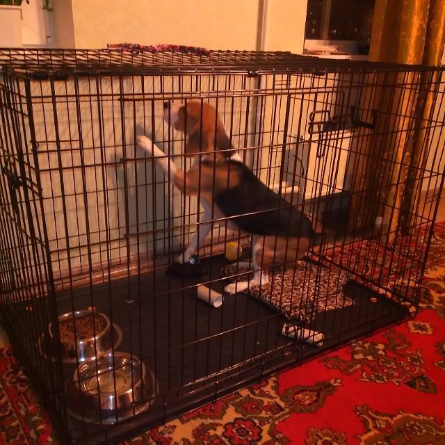 Елена Великанова | Екатеринбург